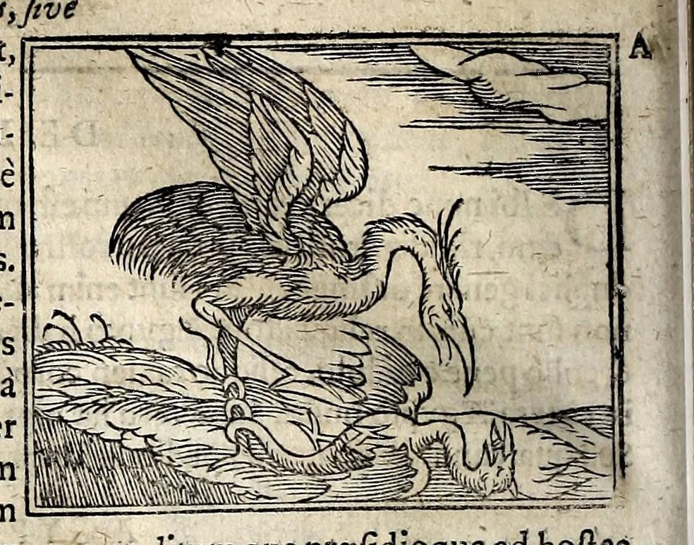 An illustration from Joannis Pierii Valeriani Bellunensis Hieroglyphica, sive, De sacris Aegyptiorum aliarumque gentium literis, commentariorum libri LVIII, duobus aliis ab eruditissimo viro annexis. Accesserunt loco auctarii, Hieroglyphicorum collectanea, ex veteribus & recentioribus auctoribus descripta, & in sex libros ordine alphabetico digesta; item Horapollinis Hieroglyphicorum libri duo ex postrema Davidis Hoeschelii correctione. Praeterea ejusdem Pierii Declamatiuncula pro barbis sacerdotum; De infelicitate literatorum libri duo; denique Antiquitatum Bellunensium sermones quatuor, 1678, leaf 284