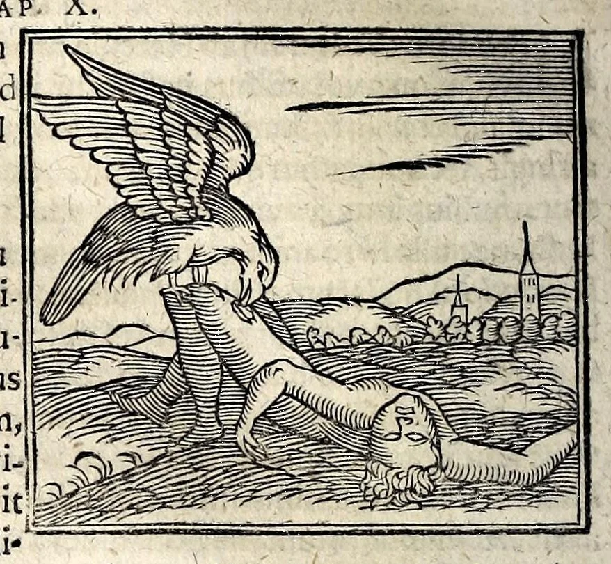 An illustration from Joannis Pierii Valeriani Bellunensis Hieroglyphica, sive, De sacris Aegyptiorum aliarumque gentium literis, commentariorum libri LVIII, duobus aliis ab eruditissimo viro annexis. Accesserunt loco auctarii, Hieroglyphicorum collectanea, ex veteribus & recentioribus auctoribus descripta, & in sex libros ordine alphabetico digesta; item Horapollinis Hieroglyphicorum libri duo ex postrema Davidis Hoeschelii correctione. Praeterea ejusdem Pierii Declamatiuncula pro barbis sacerdotum; De infelicitate literatorum libri duo; denique Antiquitatum Bellunensium sermones quatuor, 1678, leaf 294