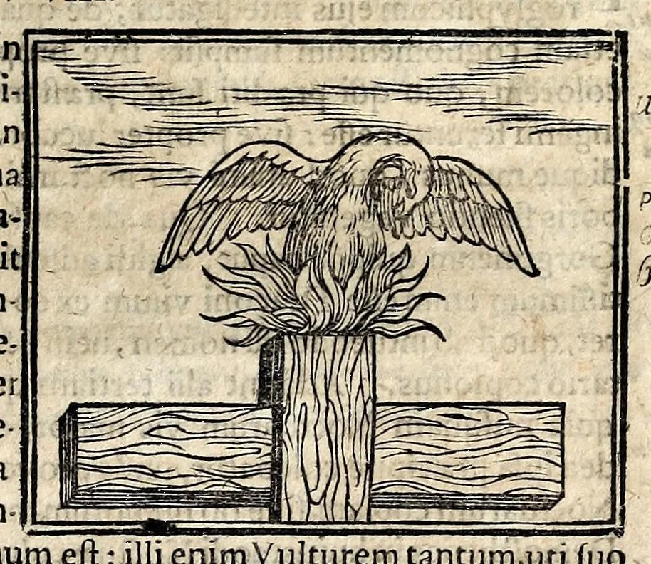 An illustration from Joannis Pierii Valeriani Bellunensis Hieroglyphica, sive, De sacris Aegyptiorum aliarumque gentium literis, commentariorum libri LVIII, duobus aliis ab eruditissimo viro annexis. Accesserunt loco auctarii, Hieroglyphicorum collectanea, ex veteribus & recentioribus auctoribus descripta, & in sex libros ordine alphabetico digesta; item Horapollinis Hieroglyphicorum libri duo ex postrema Davidis Hoeschelii correctione. Praeterea ejusdem Pierii Declamatiuncula pro barbis sacerdotum; De infelicitate literatorum libri duo; denique Antiquitatum Bellunensium sermones quatuor, 1678, leaf 315