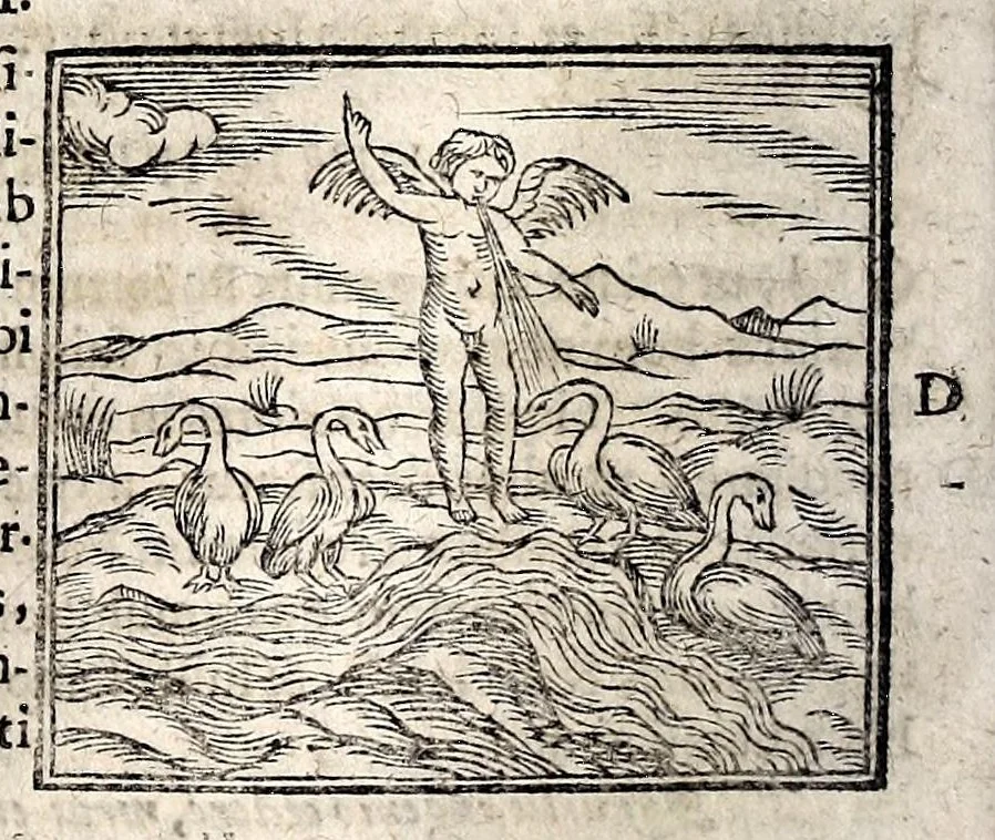An illustration from Joannis Pierii Valeriani Bellunensis Hieroglyphica, sive, De sacris Aegyptiorum aliarumque gentium literis, commentariorum libri LVIII, duobus aliis ab eruditissimo viro annexis. Accesserunt loco auctarii, Hieroglyphicorum collectanea, ex veteribus & recentioribus auctoribus descripta, & in sex libros ordine alphabetico digesta; item Horapollinis Hieroglyphicorum libri duo ex postrema Davidis Hoeschelii correctione. Praeterea ejusdem Pierii Declamatiuncula pro barbis sacerdotum; De infelicitate literatorum libri duo; denique Antiquitatum Bellunensium sermones quatuor, 1678, leaf 348