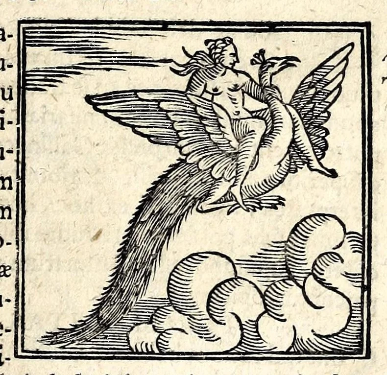 An illustration from Joannis Pierii Valeriani Bellunensis Hieroglyphica, sive, De sacris Aegyptiorum aliarumque gentium literis, commentariorum libri LVIII, duobus aliis ab eruditissimo viro annexis. Accesserunt loco auctarii, Hieroglyphicorum collectanea, ex veteribus & recentioribus auctoribus descripta, & in sex libros ordine alphabetico digesta; item Horapollinis Hieroglyphicorum libri duo ex postrema Davidis Hoeschelii correctione. Praeterea ejusdem Pierii Declamatiuncula pro barbis sacerdotum; De infelicitate literatorum libri duo; denique Antiquitatum Bellunensium sermones quatuor, 1678, leaf 359