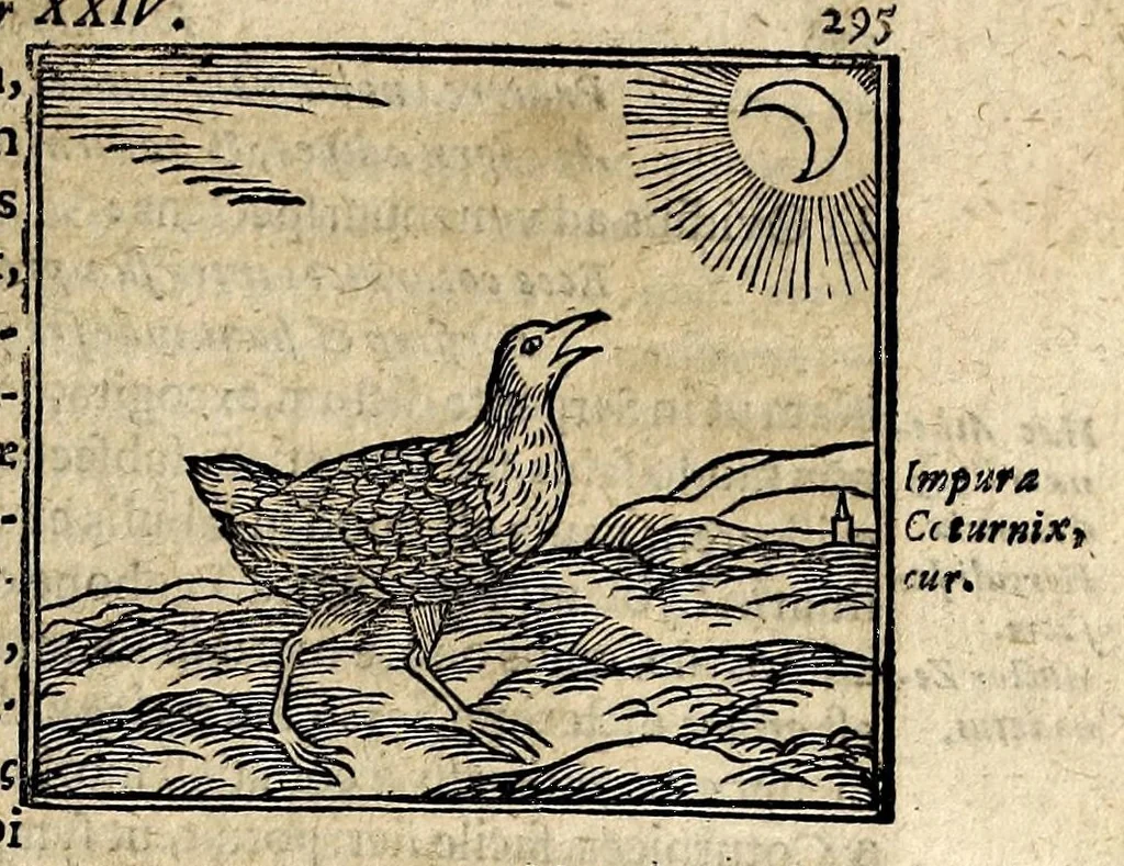 An illustration from Joannis Pierii Valeriani Bellunensis Hieroglyphica, sive, De sacris Aegyptiorum aliarumque gentium literis, commentariorum libri LVIII, duobus aliis ab eruditissimo viro annexis. Accesserunt loco auctarii, Hieroglyphicorum collectanea, ex veteribus & recentioribus auctoribus descripta, & in sex libros ordine alphabetico digesta; item Horapollinis Hieroglyphicorum libri duo ex postrema Davidis Hoeschelii correctione. Praeterea ejusdem Pierii Declamatiuncula pro barbis sacerdotum; De infelicitate literatorum libri duo; denique Antiquitatum Bellunensium sermones quatuor, 1678, leaf 369