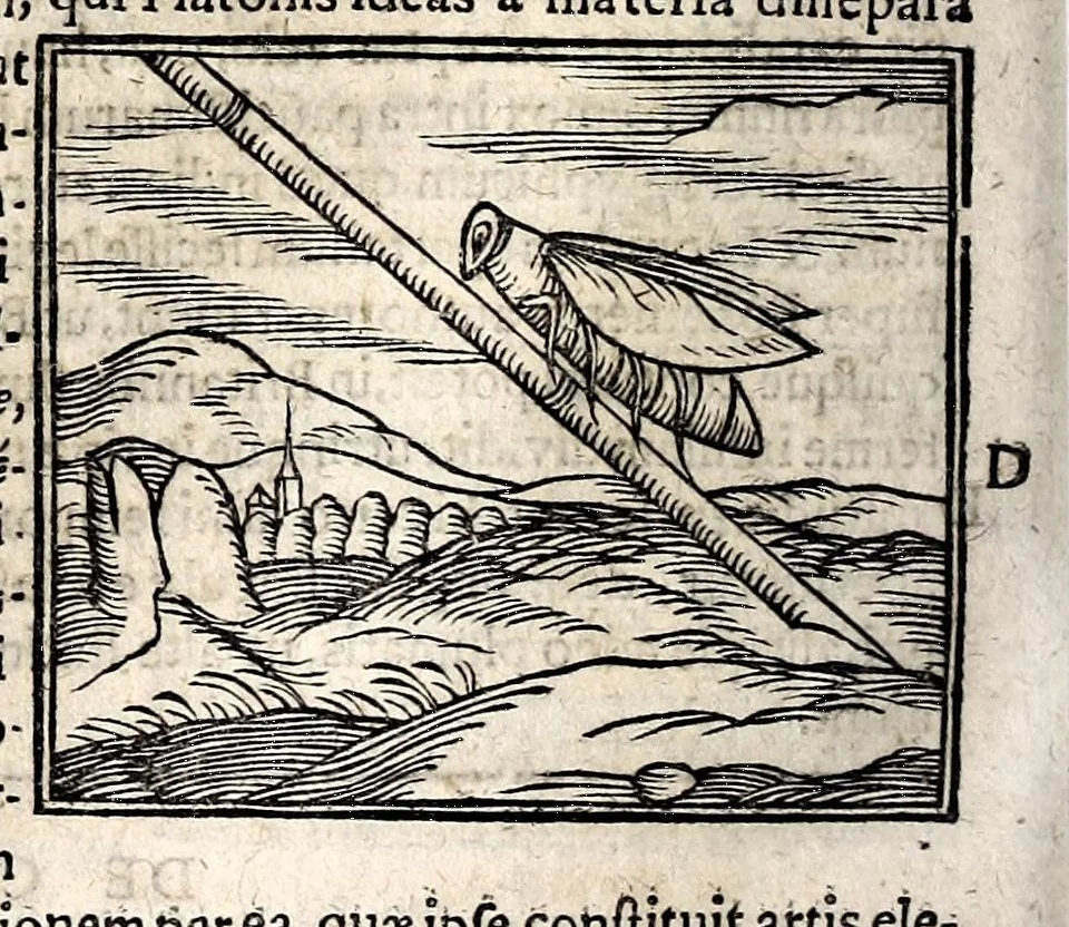 An illustration from Joannis Pierii Valeriani Bellunensis Hieroglyphica, sive, De sacris Aegyptiorum aliarumque gentium literis, commentariorum libri LVIII, duobus aliis ab eruditissimo viro annexis. Accesserunt loco auctarii, Hieroglyphicorum collectanea, ex veteribus & recentioribus auctoribus descripta, & in sex libros ordine alphabetico digesta; item Horapollinis Hieroglyphicorum libri duo ex postrema Davidis Hoeschelii correctione. Praeterea ejusdem Pierii Declamatiuncula pro barbis sacerdotum; De infelicitate literatorum libri duo; denique Antiquitatum Bellunensium sermones quatuor, 1678, leaf 396