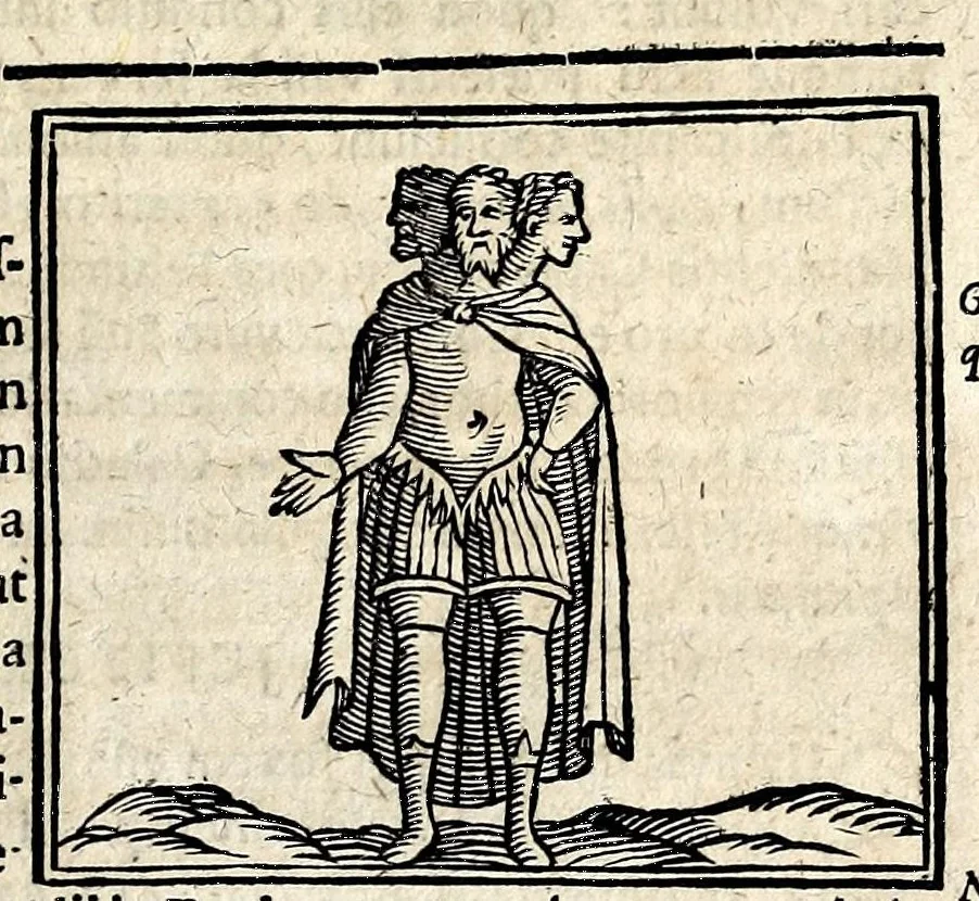 An illustration from Joannis Pierii Valeriani Bellunensis Hieroglyphica, sive, De sacris Aegyptiorum aliarumque gentium literis, commentariorum libri LVIII, duobus aliis ab eruditissimo viro annexis. Accesserunt loco auctarii, Hieroglyphicorum collectanea, ex veteribus & recentioribus auctoribus descripta, & in sex libros ordine alphabetico digesta; item Horapollinis Hieroglyphicorum libri duo ex postrema Davidis Hoeschelii correctione. Praeterea ejusdem Pierii Declamatiuncula pro barbis sacerdotum; De infelicitate literatorum libri duo; denique Antiquitatum Bellunensium sermones quatuor, 1678, leaf 457