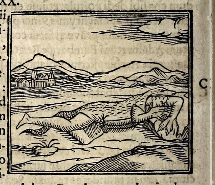 An illustration from Joannis Pierii Valeriani Bellunensis Hieroglyphica, sive, De sacris Aegyptiorum aliarumque gentium literis, commentariorum libri LVIII, duobus aliis ab eruditissimo viro annexis. Accesserunt loco auctarii, Hieroglyphicorum collectanea, ex veteribus & recentioribus auctoribus descripta, & in sex libros ordine alphabetico digesta; item Horapollinis Hieroglyphicorum libri duo ex postrema Davidis Hoeschelii correctione. Praeterea ejusdem Pierii Declamatiuncula pro barbis sacerdotum; De infelicitate literatorum libri duo; denique Antiquitatum Bellunensium sermones quatuor, 1678, leaf 504