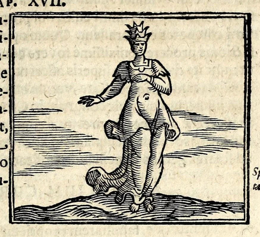 An illustration from Joannis Pierii Valeriani Bellunensis Hieroglyphica, sive, De sacris Aegyptiorum aliarumque gentium literis, commentariorum libri LVIII, duobus aliis ab eruditissimo viro annexis. Accesserunt loco auctarii, Hieroglyphicorum collectanea, ex veteribus & recentioribus auctoribus descripta, & in sex libros ordine alphabetico digesta; item Horapollinis Hieroglyphicorum libri duo ex postrema Davidis Hoeschelii correctione. Praeterea ejusdem Pierii Declamatiuncula pro barbis sacerdotum; De infelicitate literatorum libri duo; denique Antiquitatum Bellunensium sermones quatuor, 1678, leaf 589