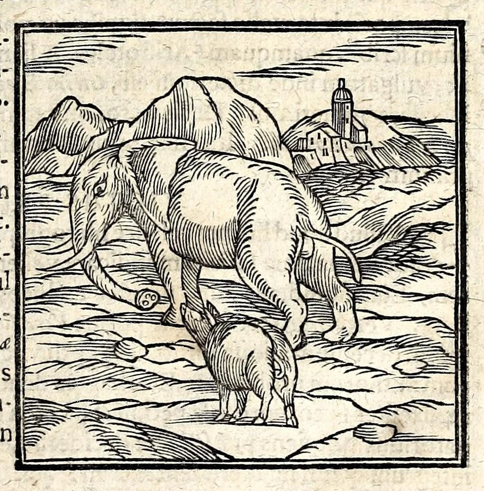 An illustration from Joannis Pierii Valeriani Bellunensis Hieroglyphica, sive, De sacris Aegyptiorum aliarumque gentium literis, commentariorum libri LVIII, duobus aliis ab eruditissimo viro annexis. Accesserunt loco auctarii, Hieroglyphicorum collectanea, ex veteribus & recentioribus auctoribus descripta, & in sex libros ordine alphabetico digesta; item Horapollinis Hieroglyphicorum libri duo ex postrema Davidis Hoeschelii correctione. Praeterea ejusdem Pierii Declamatiuncula pro barbis sacerdotum; De infelicitate literatorum libri duo; denique Antiquitatum Bellunensium sermones quatuor, 1678, leaf 93