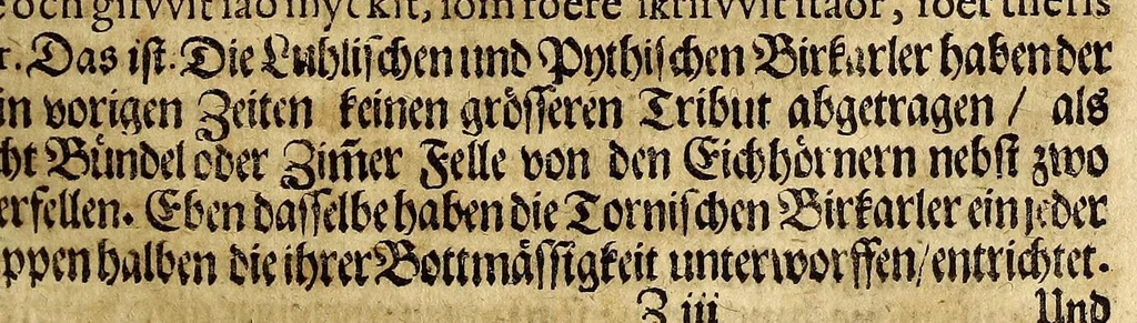 An illustration from Joannis SchefferI von Strassburg Lappland, : das ist: Neue und wahrhafftige Beschreibung von Lappland und dessen Einwohnern; worin viel bisshero unbekandte Sachen von der Lappen Ankunfft, Aberglauben, Zauberkünsten, Nahrung, Kleidern, Geschäfften, wie auch von den Thieren und Metallen so es in ihrem Lande giebet, erzählet, und mit unterschiedlichen Figuren fürgestellet worden, 1675, leaf 201