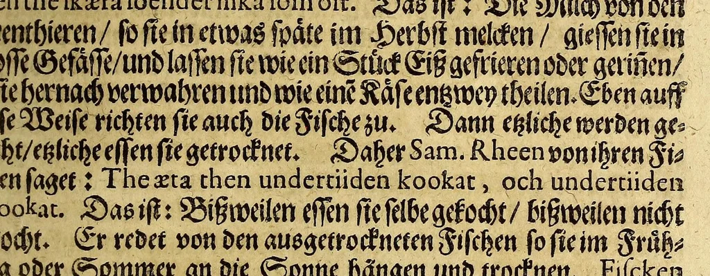 An illustration from Joannis SchefferI von Strassburg Lappland, : das ist: Neue und wahrhafftige Beschreibung von Lappland und dessen Einwohnern; worin viel bisshero unbekandte Sachen von der Lappen Ankunfft, Aberglauben, Zauberkünsten, Nahrung, Kleidern, Geschäfften, wie auch von den Thieren und Metallen so es in ihrem Lande giebet, erzählet, und mit unterschiedlichen Figuren fürgestellet worden, 1675, leaf 269