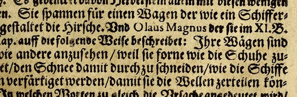 An illustration from Joannis SchefferI von Strassburg Lappland, : das ist: Neue und wahrhafftige Beschreibung von Lappland und dessen Einwohnern; worin viel bisshero unbekandte Sachen von der Lappen Ankunfft, Aberglauben, Zauberkünsten, Nahrung, Kleidern, Geschäfften, wie auch von den Thieren und Metallen so es in ihrem Lande giebet, erzählet, und mit unterschiedlichen Figuren fürgestellet worden, 1675, leaf 307