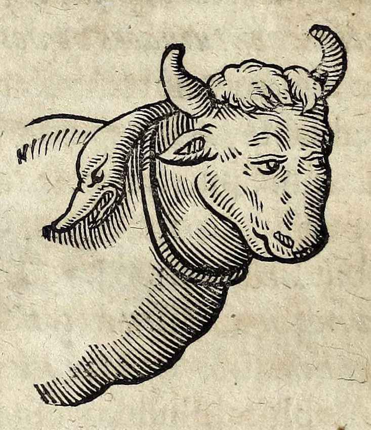 An illustration from Joannis Schefferi Argentoratensis De re vehiculari veterum libri duo. Accedit Pyrrhi Ligorii V.C. De vehiculis fragmentum : nunquam ante publicatum, ex bibliotheca Sereniss. Reg. Christinae, cum ejusdem I. Schefferi Arg. annotationibus, 1671, leaf 132