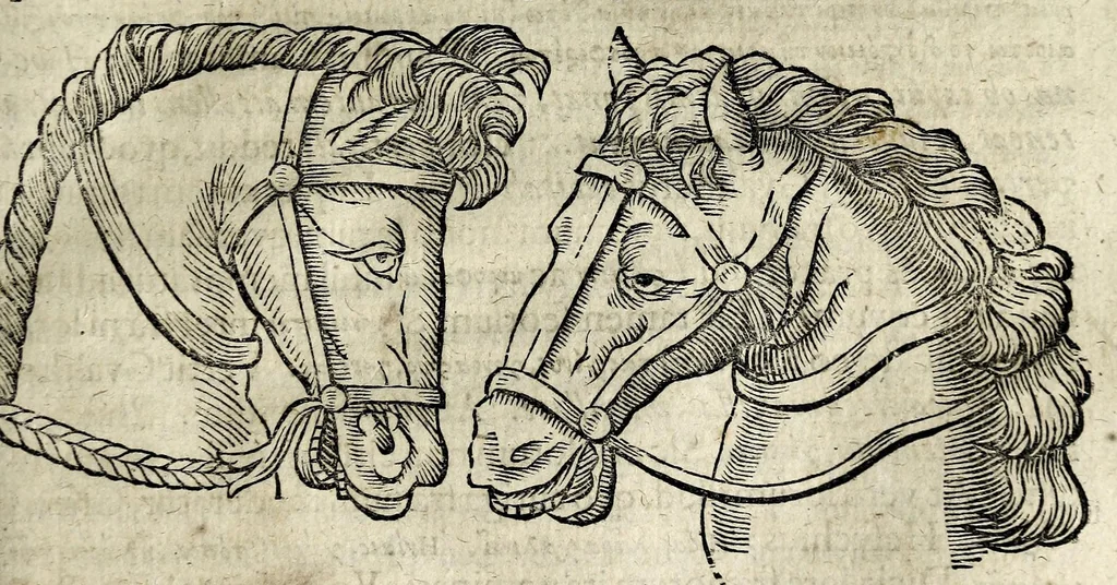 An illustration from Joannis Schefferi Argentoratensis De re vehiculari veterum libri duo. Accedit Pyrrhi Ligorii V.C. De vehiculis fragmentum : nunquam ante publicatum, ex bibliotheca Sereniss. Reg. Christinae, cum ejusdem I. Schefferi Arg. annotationibus, 1671, leaf 187