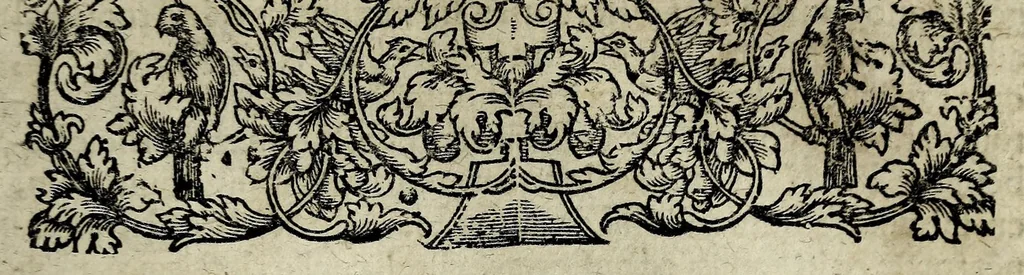 An illustration from Joannis Schefferi Argentoratensis De re vehiculari veterum libri duo. Accedit Pyrrhi Ligorii V.C. De vehiculis fragmentum : nunquam ante publicatum, ex bibliotheca Sereniss. Reg. Christinae, cum ejusdem I. Schefferi Arg. annotationibus, 1671, leaf 303