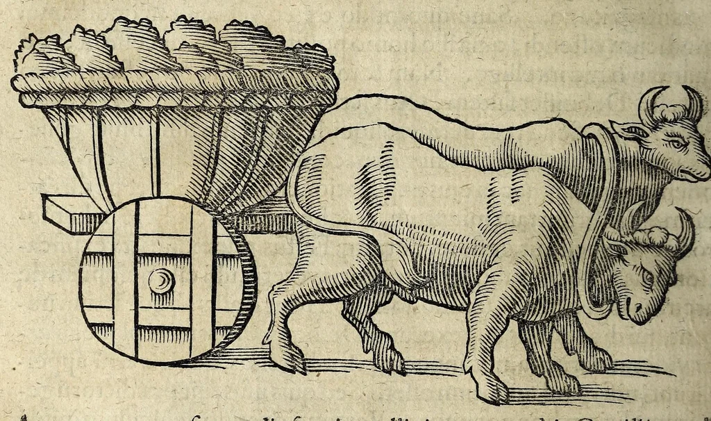 An illustration from Joannis Schefferi Argentoratensis De re vehiculari veterum libri duo. Accedit Pyrrhi Ligorii V.C. De vehiculis fragmentum : nunquam ante publicatum, ex bibliotheca Sereniss. Reg. Christinae, cum ejusdem I. Schefferi Arg. annotationibus, 1671, leaf 570