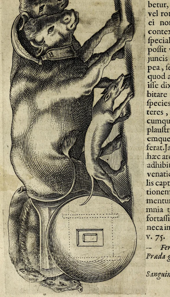 An illustration from Joannis Schefferi Argentoratensis De re vehiculari veterum libri duo. Accedit Pyrrhi Ligorii V.C. De vehiculis fragmentum : nunquam ante publicatum, ex bibliotheca Sereniss. Reg. Christinae, cum ejusdem I. Schefferi Arg. annotationibus, 1671, leaf 572