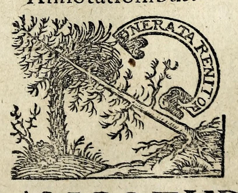 An illustration from Joannis Schefferi Argentoratensis De re vehiculari veterum libri duo. Accedit Pyrrhi Ligorii V.C. De vehiculis fragmentum : nunquam ante publicatum, ex bibliotheca Sereniss. Reg. Christinae, cum ejusdem I. Schefferi Arg. annotationibus, 1671, leaf 9