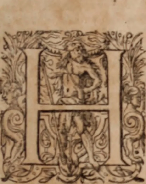 An illustration from Joannis Schenckii a Grafenberg ... Observationum medicarum rariorum libri VII : in quibus nova, abdita, admirabilia, monstrosaque exempla, circa anatomen, aegritudinum causas, signa, eventus, curationes, à veteribus recentioribusque sive medicis, sive aliis quibusque fide digniss. scriptoribus monumentis consignata, partim hactenus publicatis, partim etiam anekdotois non paucis, per communes locos artificiose digesta proponuntur, 1665, leaf 12