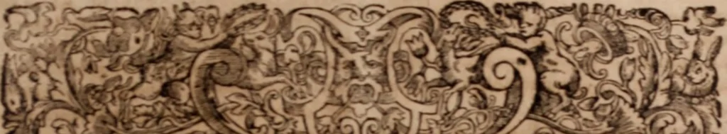 An illustration from Joannis Schenckii a Grafenberg ... Observationum medicarum rariorum libri VII : in quibus nova, abdita, admirabilia, monstrosaque exempla, circa anatomen, aegritudinum causas, signa, eventus, curationes, à veteribus recentioribusque sive medicis, sive aliis quibusque fide digniss. scriptoribus monumentis consignata, partim hactenus publicatis, partim etiam anekdotois non paucis, per communes locos artificiose digesta proponuntur, 1665, leaf 254