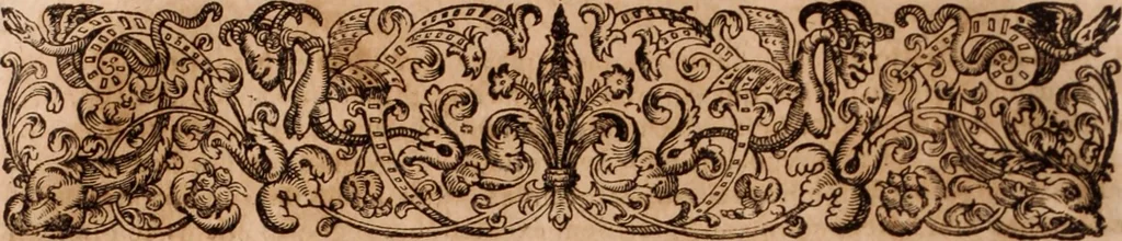 An illustration from Joannis Schenckii a Grafenberg ... Observationum medicarum rariorum libri VII : in quibus nova, abdita, admirabilia, monstrosaque exempla, circa anatomen, aegritudinum causas, signa, eventus, curationes, à veteribus recentioribusque sive medicis, sive aliis quibusque fide digniss. scriptoribus monumentis consignata, partim hactenus publicatis, partim etiam anekdotois non paucis, per communes locos artificiose digesta proponuntur, 1665, leaf 27
