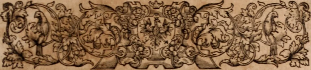 An illustration from Joannis Schenckii a Grafenberg ... Observationum medicarum rariorum libri VII : in quibus nova, abdita, admirabilia, monstrosaque exempla, circa anatomen, aegritudinum causas, signa, eventus, curationes, à veteribus recentioribusque sive medicis, sive aliis quibusque fide digniss. scriptoribus monumentis consignata, partim hactenus publicatis, partim etiam anekdotois non paucis, per communes locos artificiose digesta proponuntur, 1665, leaf 40