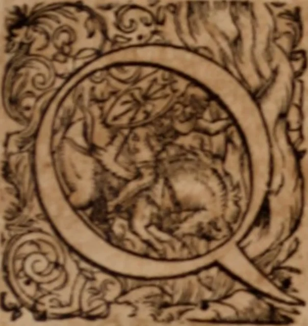 An illustration from Joannis Schenckii a Grafenberg ... Observationum medicarum rariorum libri VII : in quibus nova, abdita, admirabilia, monstrosaque exempla, circa anatomen, aegritudinum causas, signa, eventus, curationes, à veteribus recentioribusque sive medicis, sive aliis quibusque fide digniss. scriptoribus monumentis consignata, partim hactenus publicatis, partim etiam anekdotois non paucis, per communes locos artificiose digesta proponuntur, 1665, leaf 40