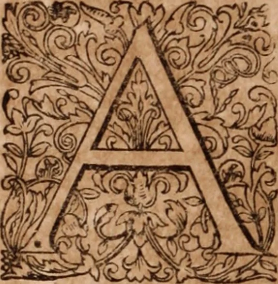 An illustration from Joannis Schenckii a Grafenberg ... Observationum medicarum rariorum libri VII : in quibus nova, abdita, admirabilia, monstrosaque exempla, circa anatomen, aegritudinum causas, signa, eventus, curationes, à veteribus recentioribusque sive medicis, sive aliis quibusque fide digniss. scriptoribus monumentis consignata, partim hactenus publicatis, partim etiam anekdotois non paucis, per communes locos artificiose digesta proponuntur, 1665, leaf 563