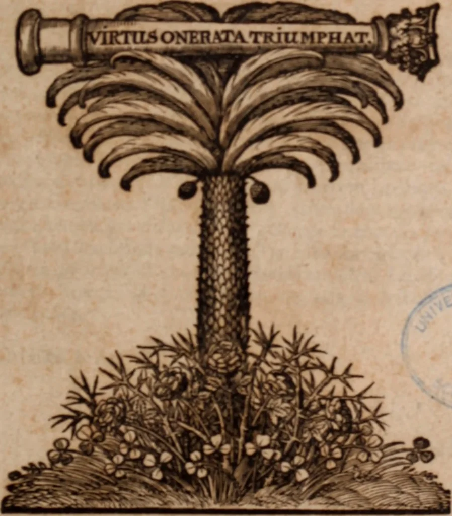 An illustration from Joannis Schenckii a Grafenberg ... Observationum medicarum rariorum libri VII : in quibus nova, abdita, admirabilia, monstrosaque exempla, circa anatomen, aegritudinum causas, signa, eventus, curationes, à veteribus recentioribusque sive medicis, sive aliis quibusque fide digniss. scriptoribus monumentis consignata, partim hactenus publicatis, partim etiam anekdotois non paucis, per communes locos artificiose digesta proponuntur, 1665, leaf 6