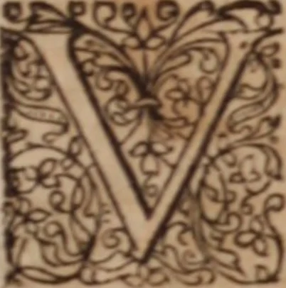 An illustration from Joannis Schenckii a Grafenberg ... Observationum medicarum rariorum libri VII : in quibus nova, abdita, admirabilia, monstrosaque exempla, circa anatomen, aegritudinum causas, signa, eventus, curationes, à veteribus recentioribusque sive medicis, sive aliis quibusque fide digniss. scriptoribus monumentis consignata, partim hactenus publicatis, partim etiam anekdotois non paucis, per communes locos artificiose digesta proponuntur, 1665, leaf 696