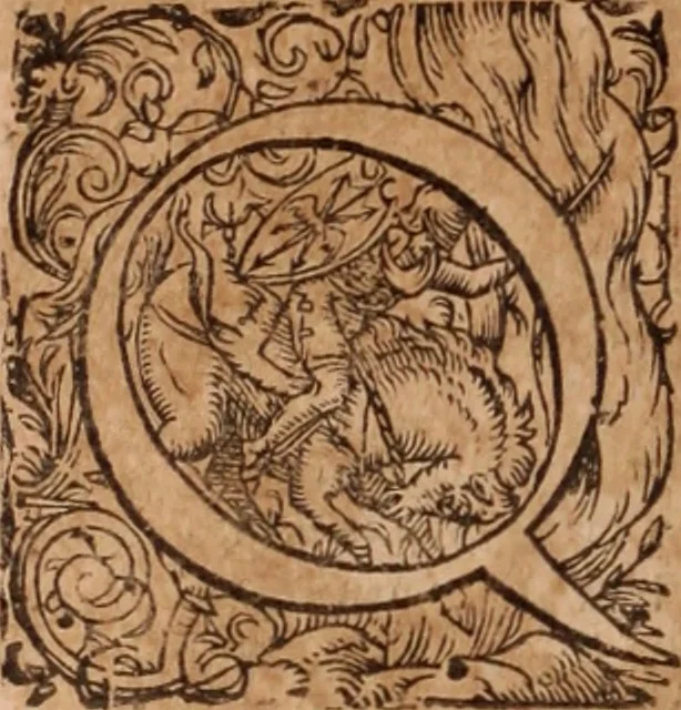 An illustration from Joannis Schenckii a Grafenberg ... Observationum medicarum rariorum libri VII : in quibus nova, abdita, admirabilia, monstrosaque exempla, circa anatomen, aegritudinum causas, signa, eventus, curationes, à veteribus recentioribusque sive medicis, sive aliis quibusque fide digniss. scriptoribus monumentis consignata, partim hactenus publicatis, partim etiam anekdotois non paucis, per communes locos artificiose digesta proponuntur, 1665, leaf 773