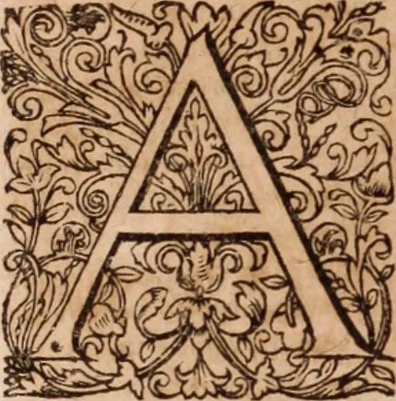 An illustration from Joannis Schenckii a Grafenberg ... Observationum medicarum rariorum libri VII : in quibus nova, abdita, admirabilia, monstrosaque exempla, circa anatomen, aegritudinum causas, signa, eventus, curationes, à veteribus recentioribusque sive medicis, sive aliis quibusque fide digniss. scriptoribus monumentis consignata, partim hactenus publicatis, partim etiam anekdotois non paucis, per communes locos artificiose digesta proponuntur, 1665, leaf 877