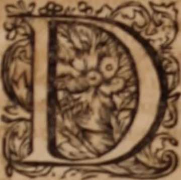 An illustration from Joannis Schenckii a Grafenberg ... Observationum medicarum rariorum libri VII : in quibus nova, abdita, admirabilia, monstrosaque exempla, circa anatomen, aegritudinum causas, signa, eventus, curationes, à veteribus recentioribusque sive medicis, sive aliis quibusque fide digniss. scriptoribus monumentis consignata, partim hactenus publicatis, partim etiam anekdotois non paucis, per communes locos artificiose digesta proponuntur, 1665, leaf 964