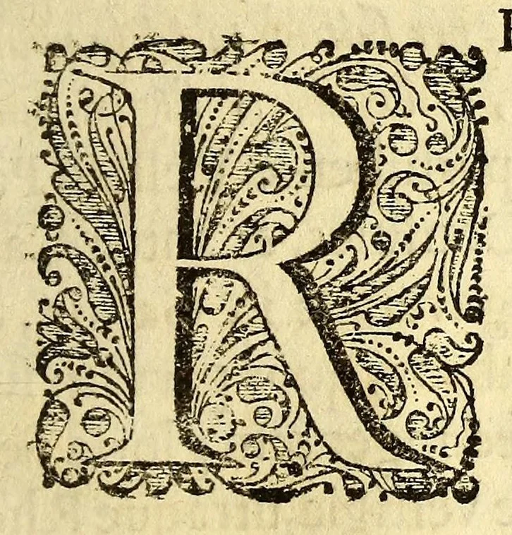 An illustration from Joannis Schildi De coalitione populorum ac rerumpublicarum libri tres. : In quibus coalescentium initia, conditiones, res florentes, controversiae, vitia, res labantes, dissolutiones, ex omnis aevi historia eruuntur, ac dissertationibus politicis illustrantur, 1661, leaf 165