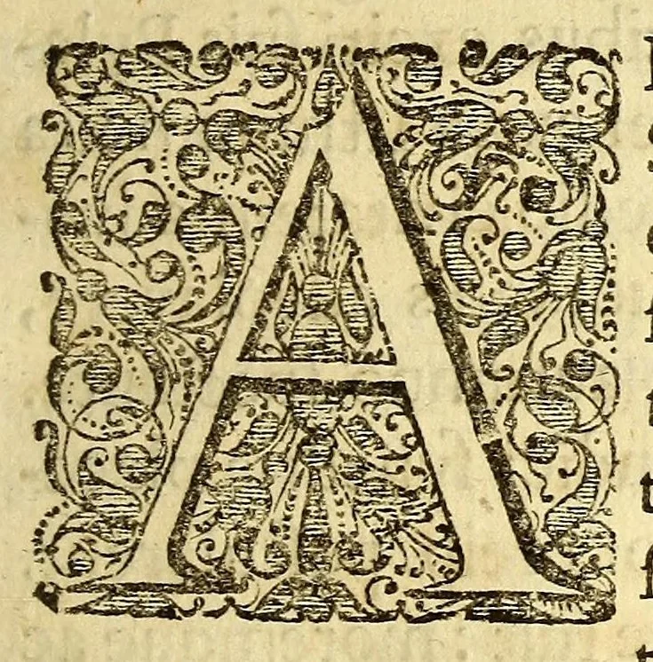 An illustration from Joannis Schildi De coalitione populorum ac rerumpublicarum libri tres. : In quibus coalescentium initia, conditiones, res florentes, controversiae, vitia, res labantes, dissolutiones, ex omnis aevi historia eruuntur, ac dissertationibus politicis illustrantur, 1661, leaf 89