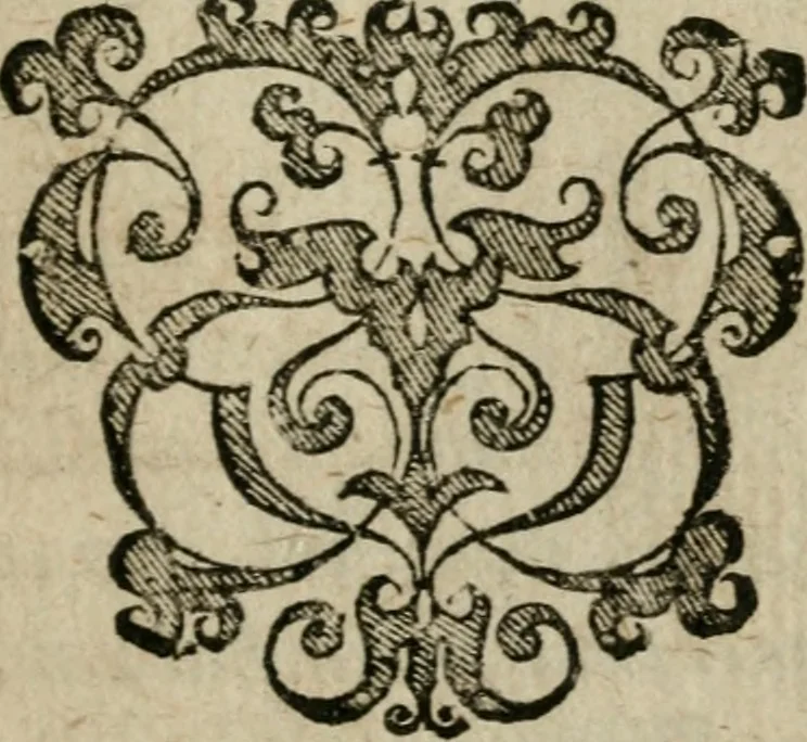 An illustration from Joannis Valentini Andreae Memorialia, benevolentium honori, amori et condolentiae data, 1619, leaf 118