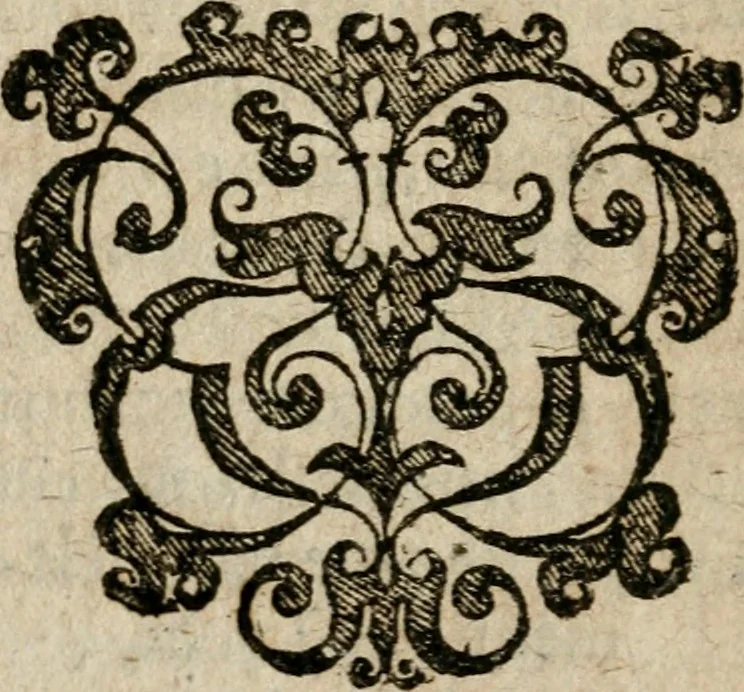 An illustration from Joannis Valentini Andreae Memorialia, benevolentium honori, amori et condolentiae data, 1619, leaf 141