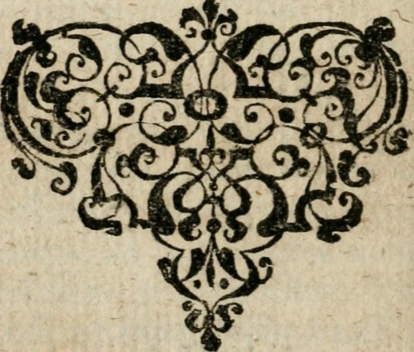 An illustration from Joannis Valentini Andreae Memorialia, benevolentium honori, amori et condolentiae data, 1619, leaf 45