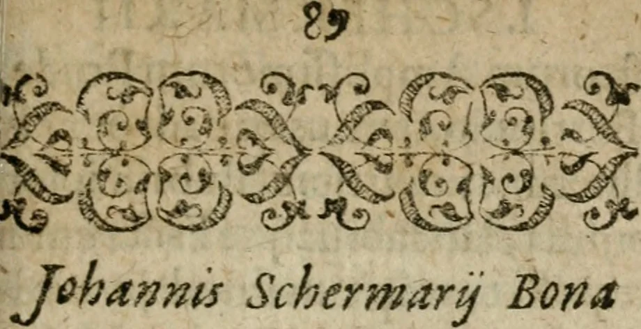 An illustration from Joannis Valentini Andreae Memorialia, benevolentium honori, amori et condolentiae data, 1619, leaf 90