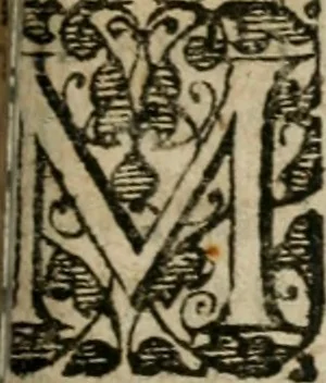 An illustration from Joannis Valentini Andreae Memorialia, benevolentium honori, amori et condolentiae data, 1619, leaf 90