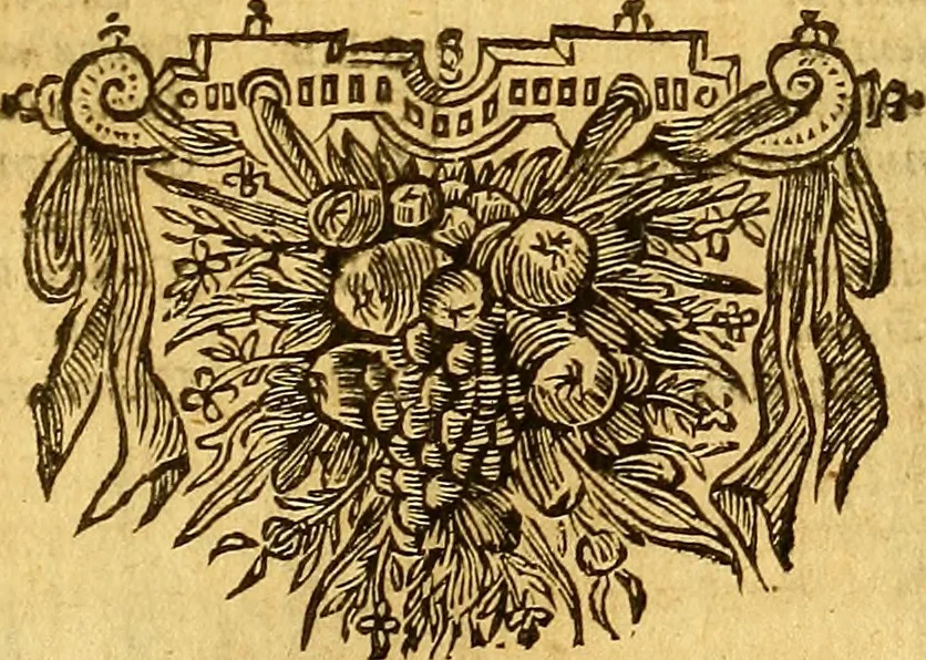 An illustration from Joannis Veslingii, equitus, professoris quondam Patavini, & c., Syntagma anatomicum, commentario atque appendice ex veterum, recentiorum, propriisque, observationibus, 1666, leaf 112