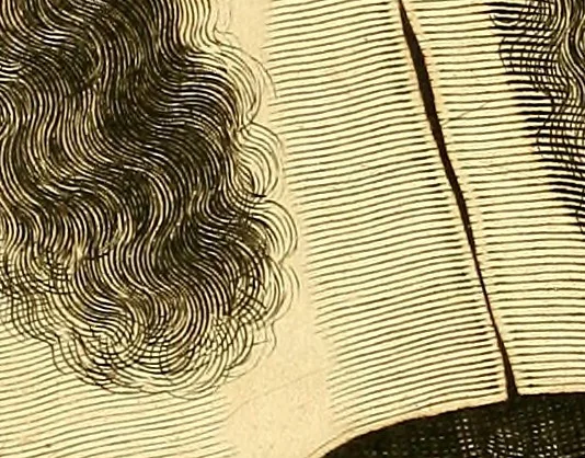 An illustration from Joannis Veslingii, equitus, professoris quondam Patavini, & c., Syntagma anatomicum, commentario atque appendice ex veterum, recentiorum, propriisque, observationibus, 1666, leaf 13
