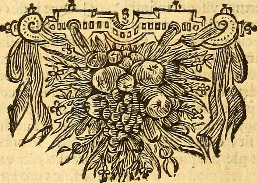 An illustration from Joannis Veslingii, equitus, professoris quondam Patavini, & c., Syntagma anatomicum, commentario atque appendice ex veterum, recentiorum, propriisque, observationibus, 1666, leaf 171