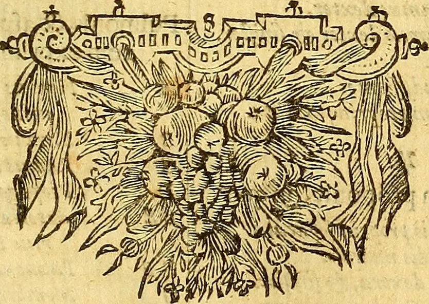 An illustration from Joannis Veslingii, equitus, professoris quondam Patavini, & c., Syntagma anatomicum, commentario atque appendice ex veterum, recentiorum, propriisque, observationibus, 1666, leaf 188