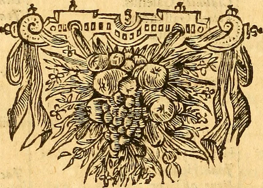 An illustration from Joannis Veslingii, equitus, professoris quondam Patavini, & c., Syntagma anatomicum, commentario atque appendice ex veterum, recentiorum, propriisque, observationibus, 1666, leaf 27