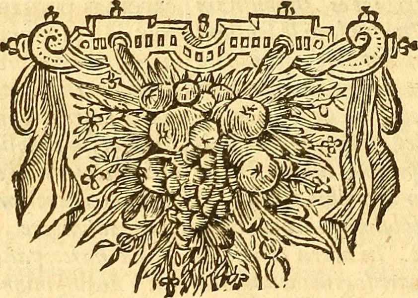 An illustration from Joannis Veslingii, equitus, professoris quondam Patavini, & c., Syntagma anatomicum, commentario atque appendice ex veterum, recentiorum, propriisque, observationibus, 1666, leaf 285