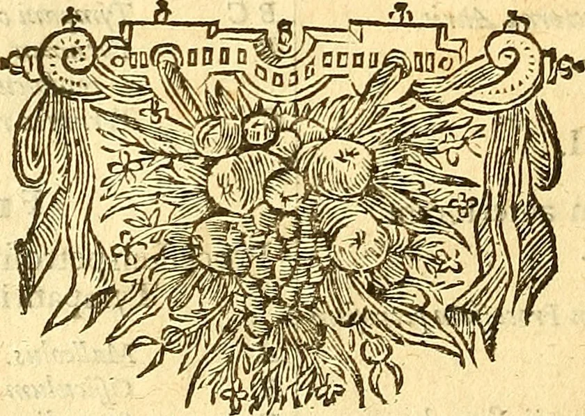 An illustration from Joannis Veslingii, equitus, professoris quondam Patavini, & c., Syntagma anatomicum, commentario atque appendice ex veterum, recentiorum, propriisque, observationibus, 1666, leaf 287