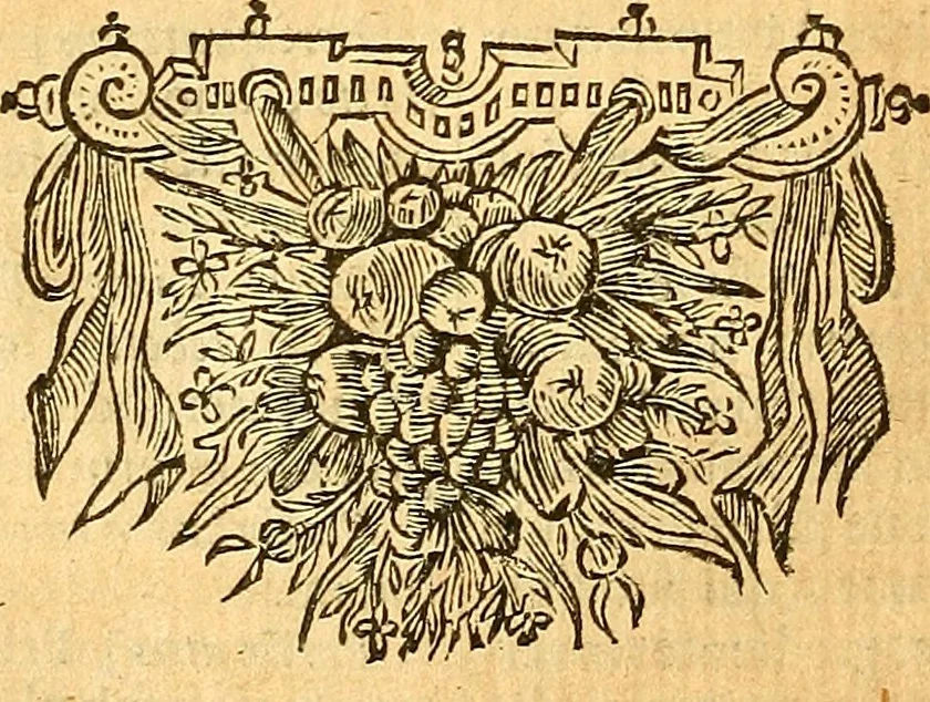 An illustration from Joannis Veslingii, equitus, professoris quondam Patavini, & c., Syntagma anatomicum, commentario atque appendice ex veterum, recentiorum, propriisque, observationibus, 1666, leaf 321