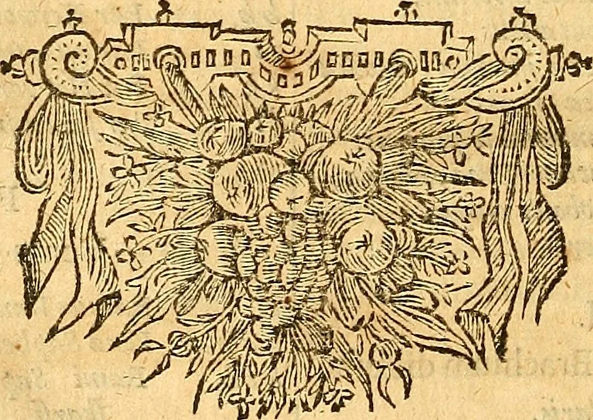 An illustration from Joannis Veslingii, equitus, professoris quondam Patavini, & c., Syntagma anatomicum, commentario atque appendice ex veterum, recentiorum, propriisque, observationibus, 1666, leaf 335