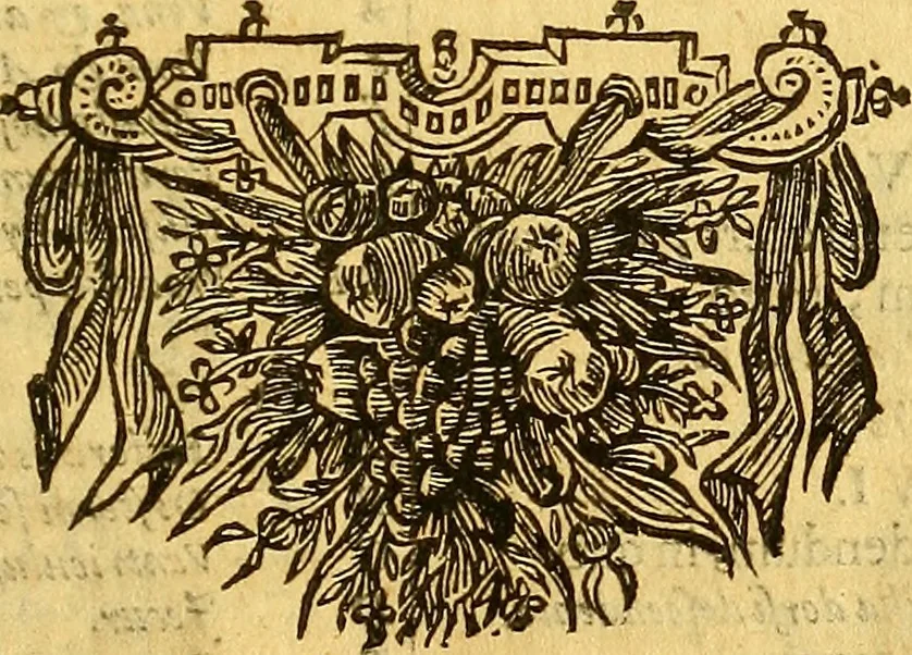 An illustration from Joannis Veslingii, equitus, professoris quondam Patavini, & c., Syntagma anatomicum, commentario atque appendice ex veterum, recentiorum, propriisque, observationibus, 1666, leaf 56
