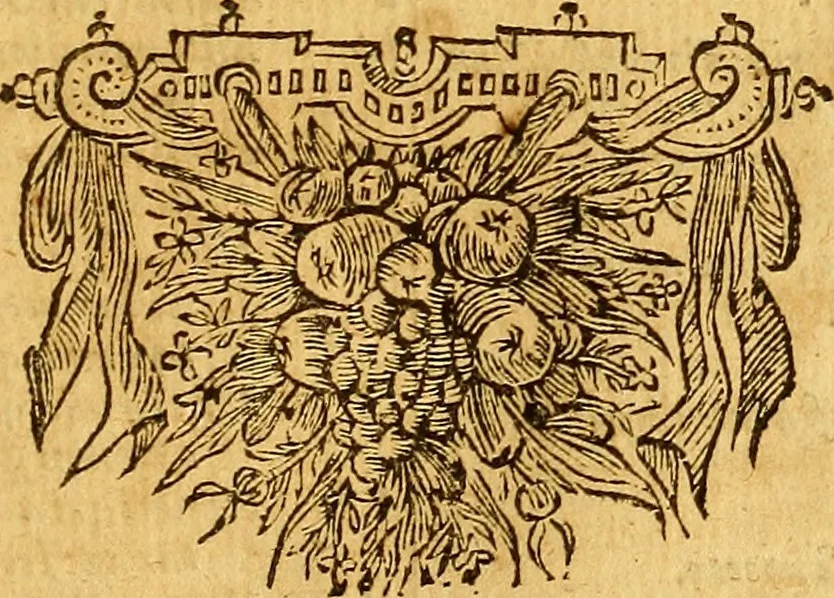 An illustration from Joannis Veslingii, equitus, professoris quondam Patavini, & c., Syntagma anatomicum, commentario atque appendice ex veterum, recentiorum, propriisque, observationibus, 1666, leaf 78