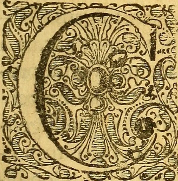 An illustration from Joannis Veslingii, equitus, professoris quondam Patavini, & c., Syntagma anatomicum, commentario atque appendice ex veterum, recentiorum, propriisque, observationibus, 1666, leaf 8
